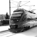 Talent im Winter - copyright CIM Deopito