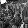 Auch 2011 erfolgreich unterwegs - Foto-RBS